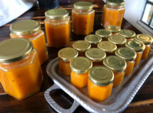 Captura de tela de 2025-04-15 15-38-41