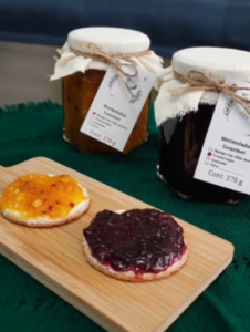 Captura de tela de 2025-04-15 15-44-11